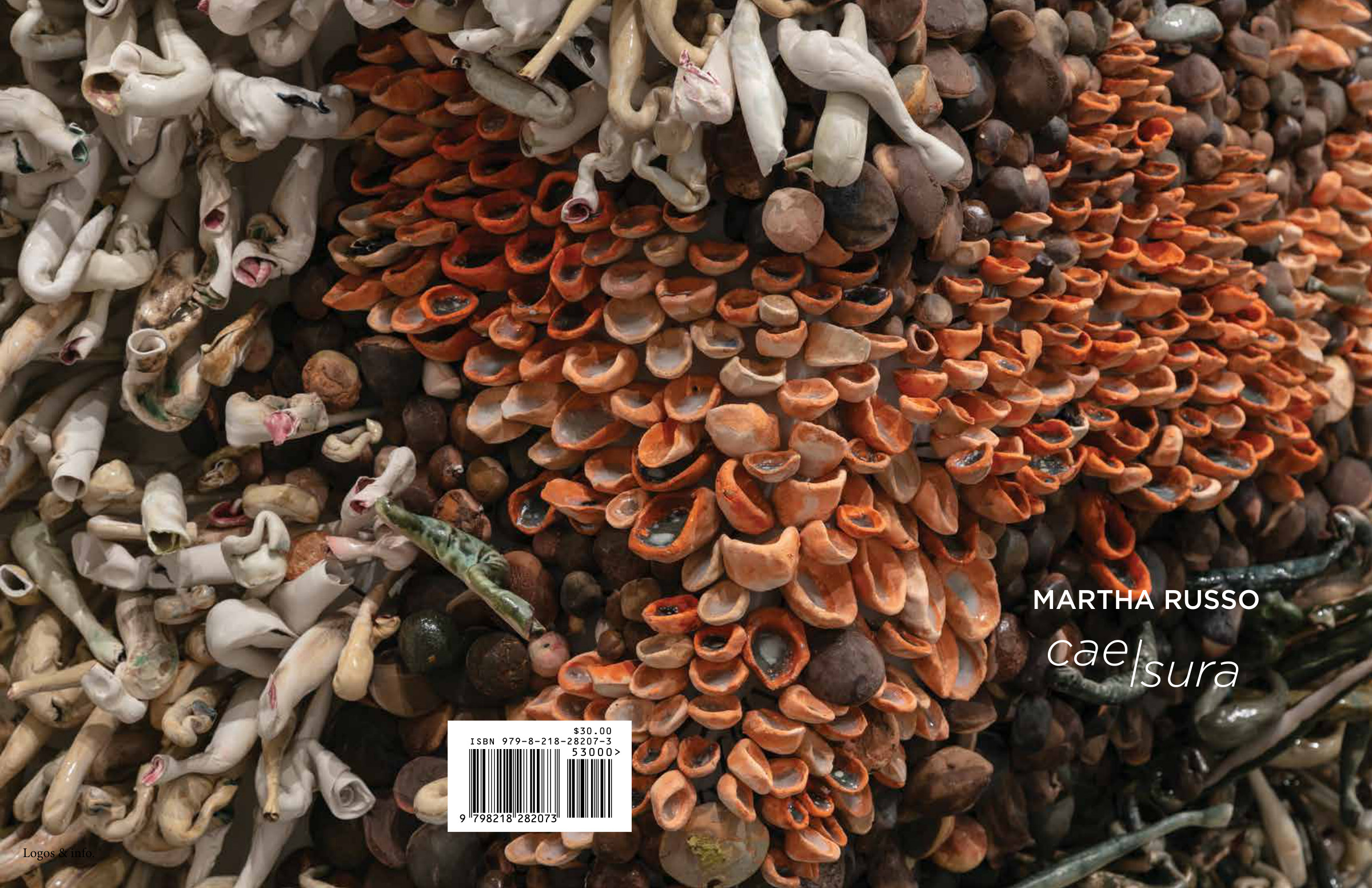 caesura catalog cover for Martha Russo