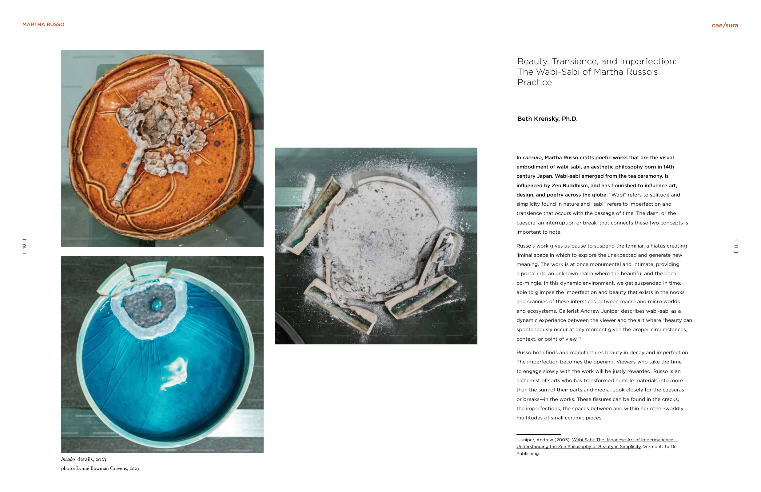 caesura catalog spread: incubo details and essay