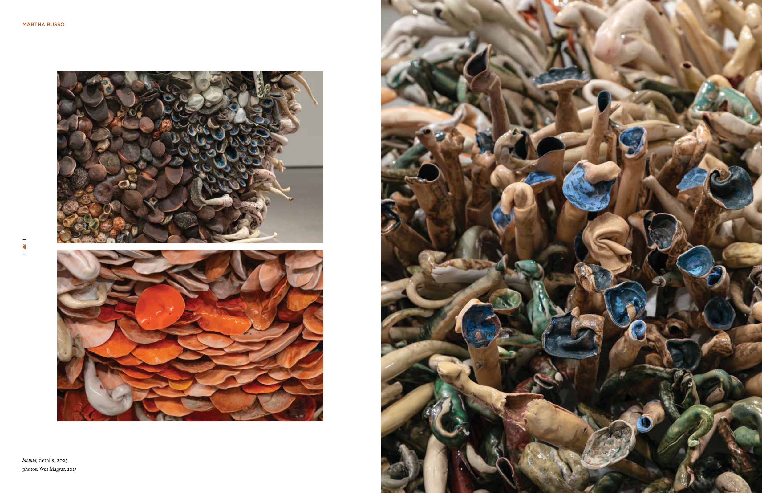 caesura catalog spread: lacuna detail photography