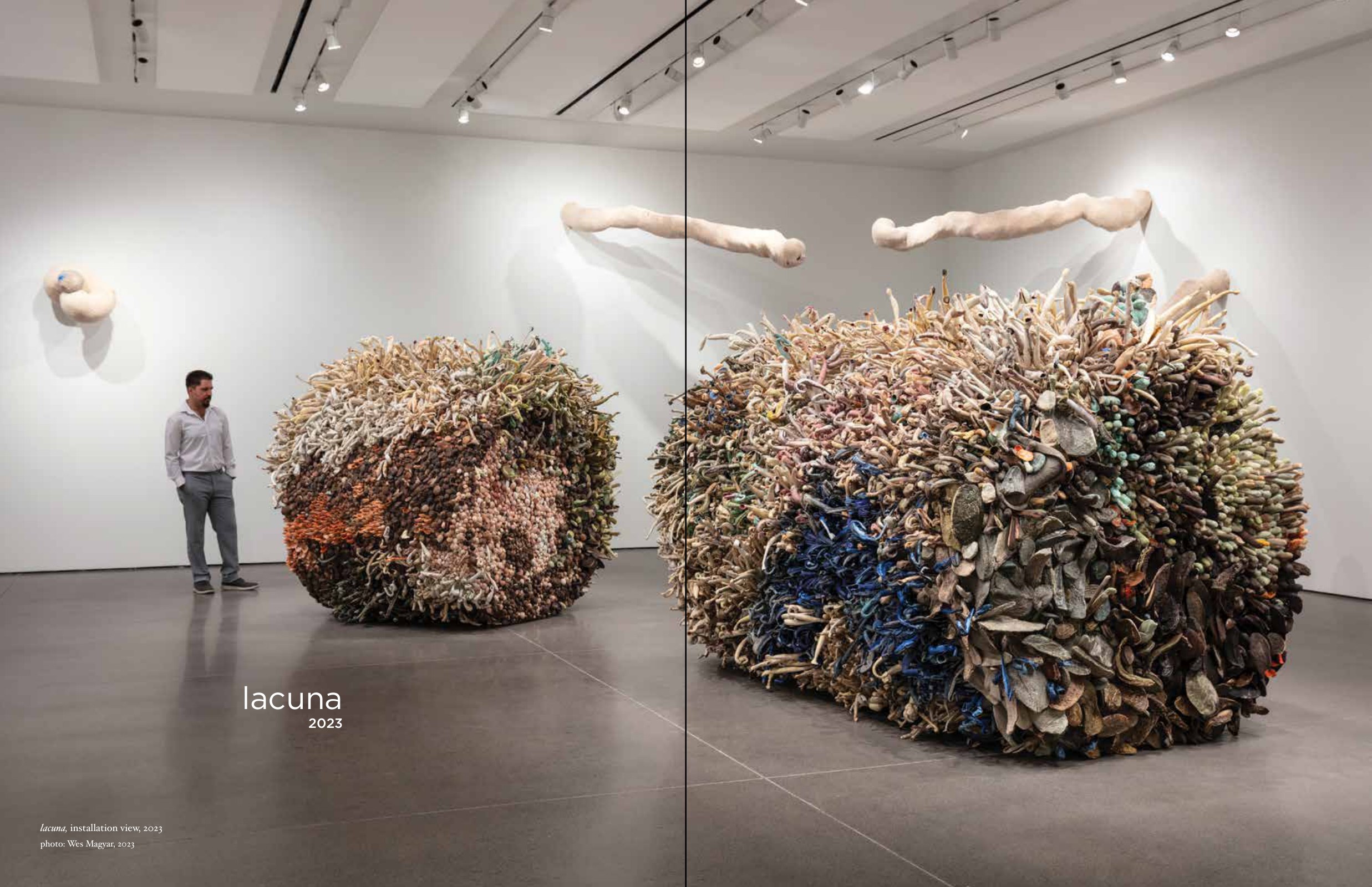 caesura catalog spread: lacuna installation view