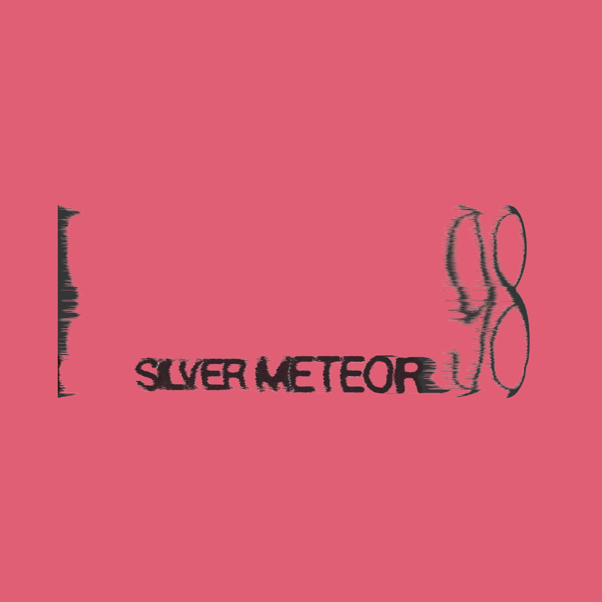 Silver Meteor 98 kinetic wordmark