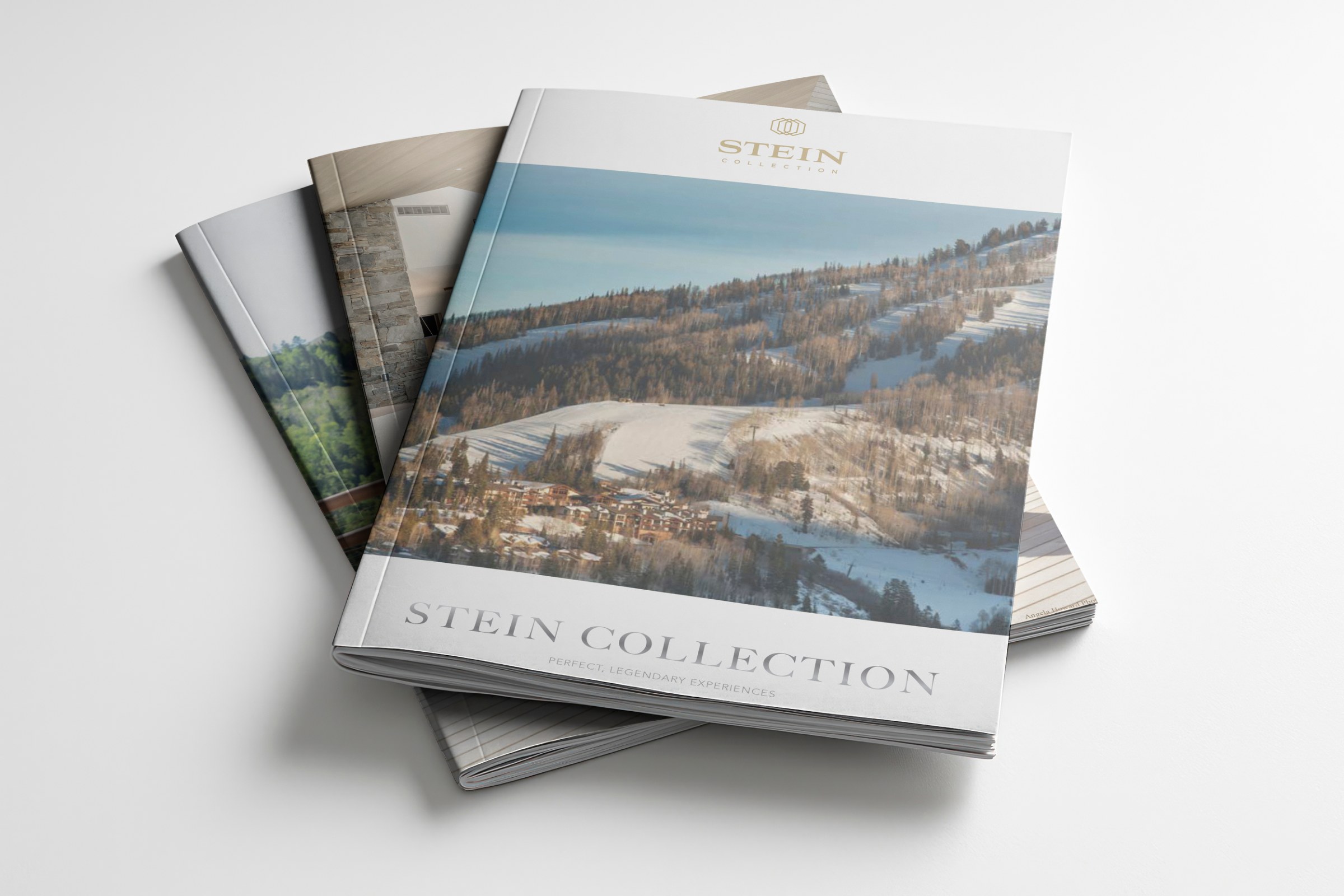 Stein Collection catalog stack
